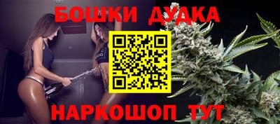гидра Краснознаменск
