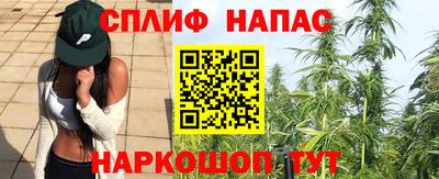 гидра Краснознаменск