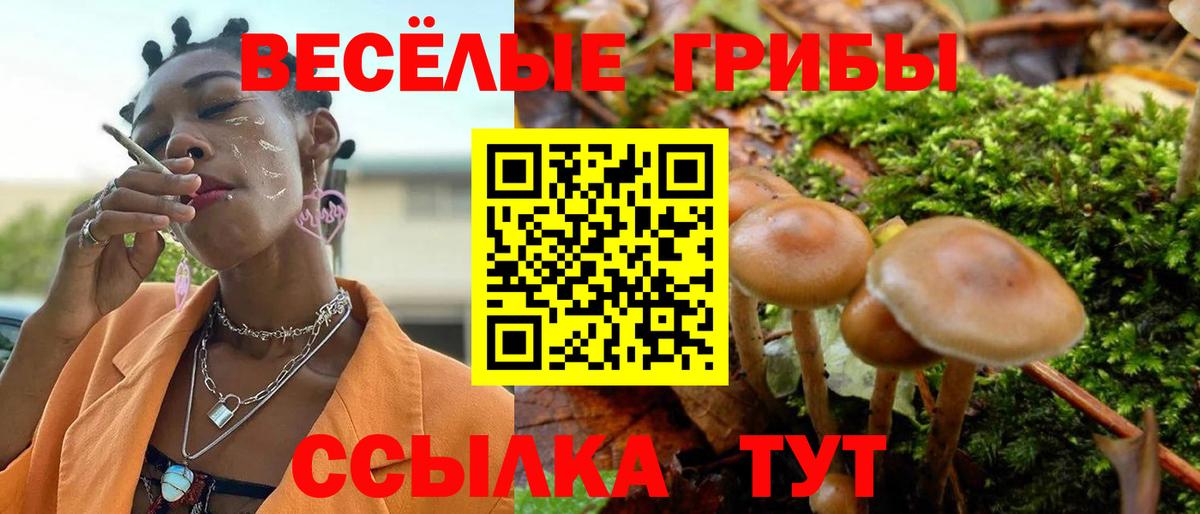 как найти наркотики  Вход с VPN  Арзамас  Псилоцибиновые грибы Cubensis 